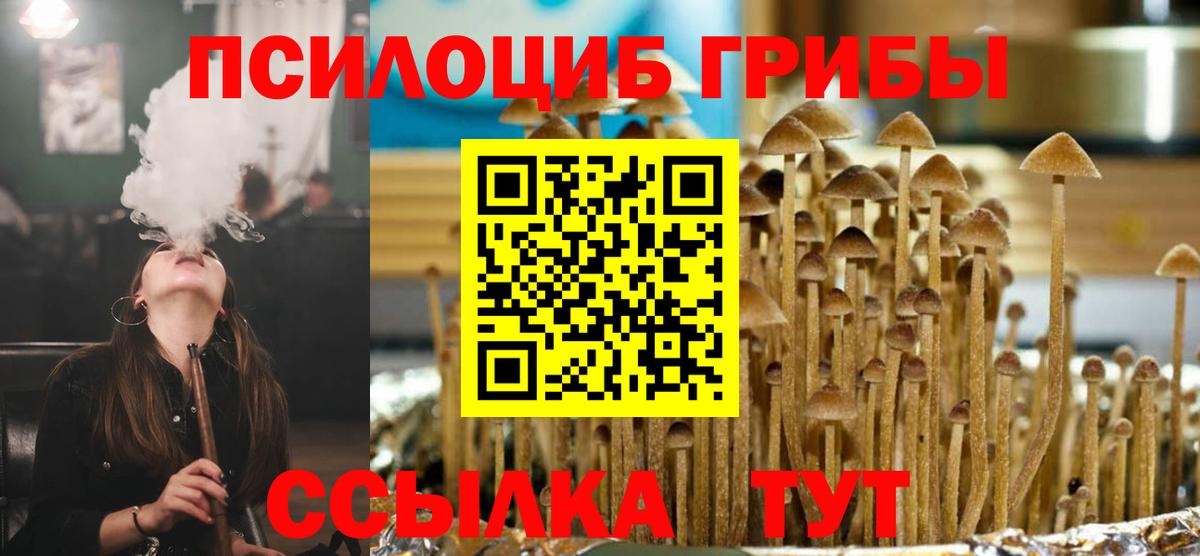Павлово  Псилоцибиновые грибы Cubensis  Вход с VPN  Галлюциногенные грибы Psilocybine cubensis 
